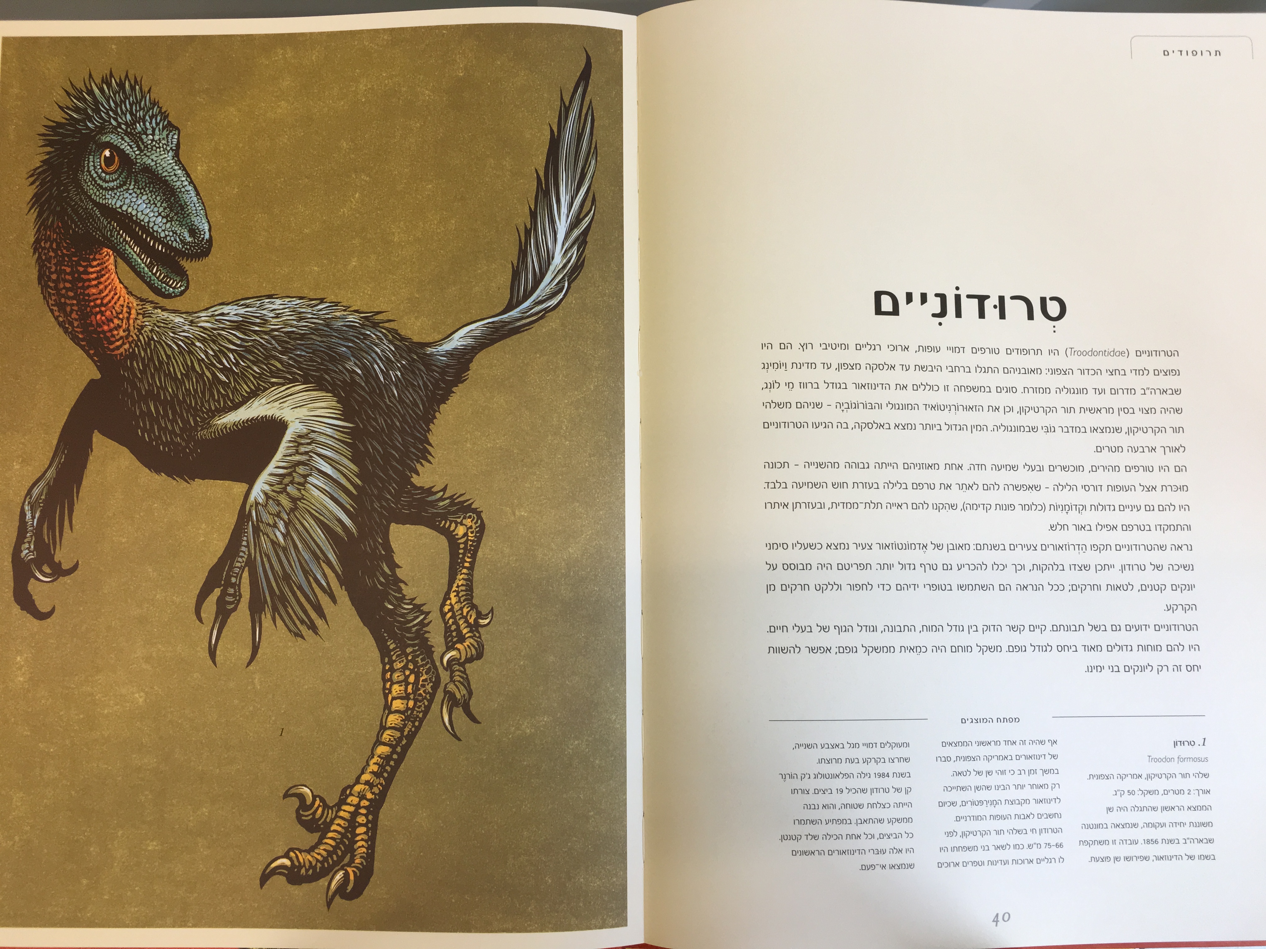 מוזיאון הדינוזאורים