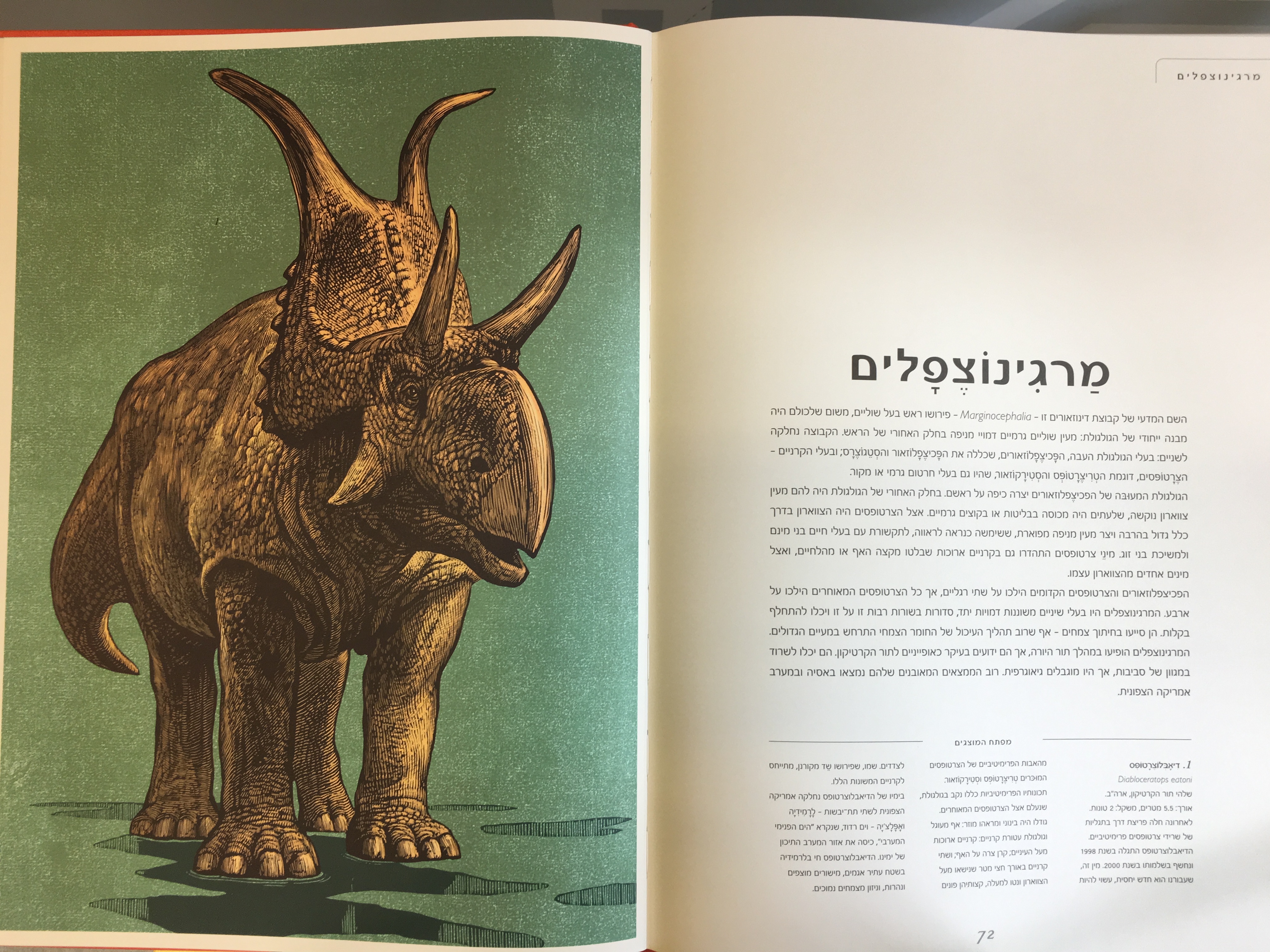 מוזיאון הדינוזאורים