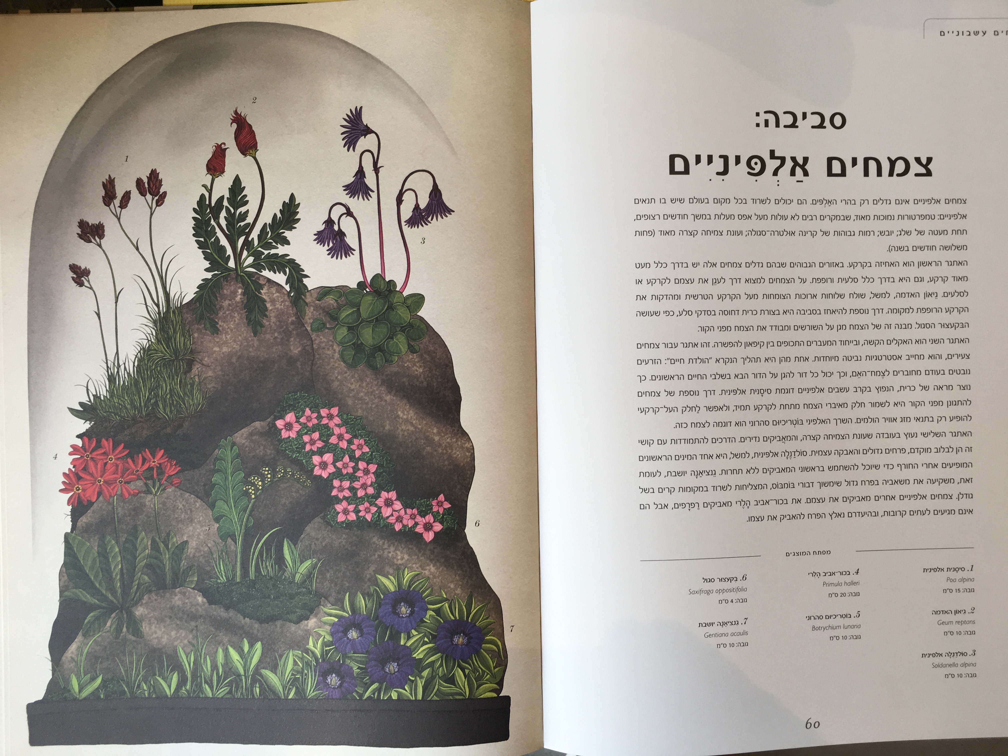 מוזיאון הצמחים