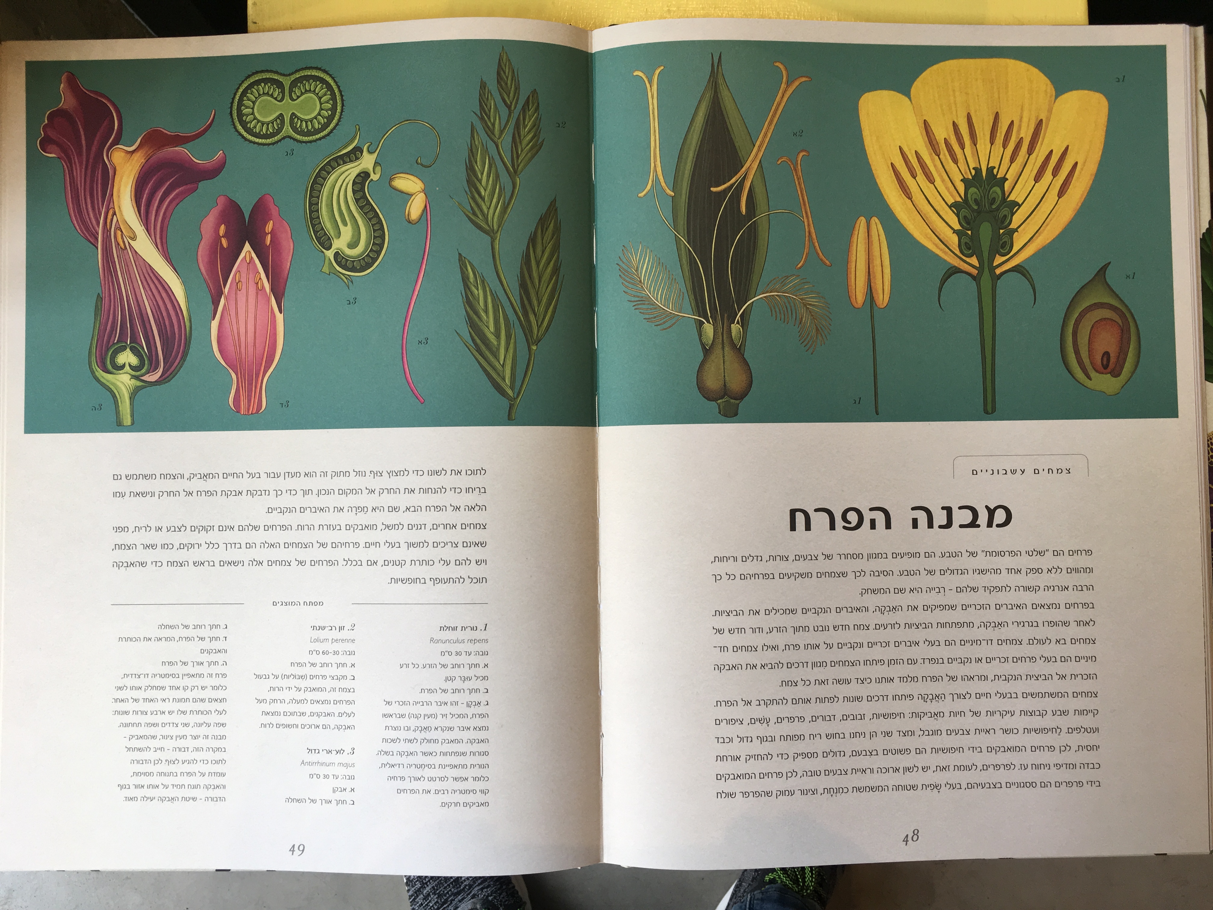 מוזיאון הצמחים
