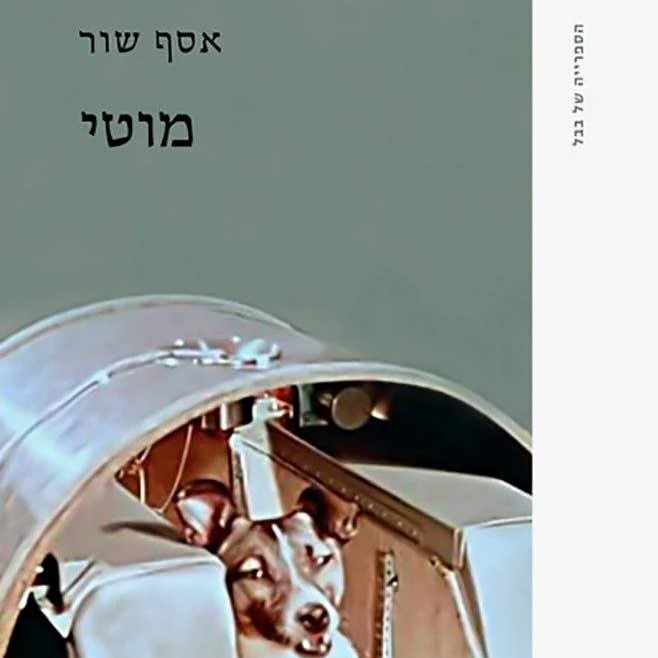 מוטי