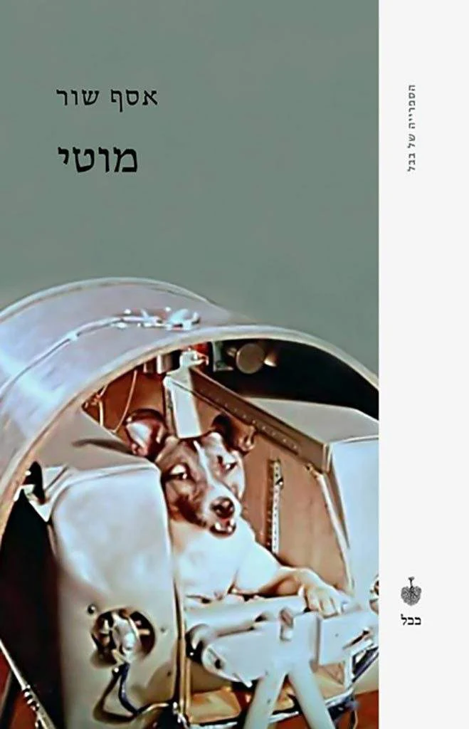 מוטי