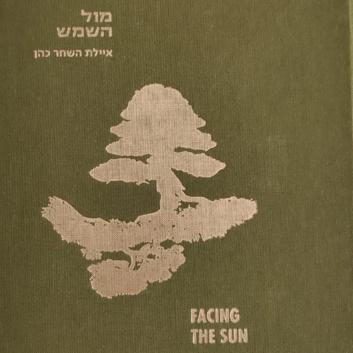 מול השמש