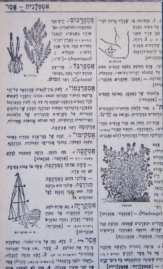 מועדים לפורענות 2020 - יומן הבלגאן של סלון מזל (גדול)