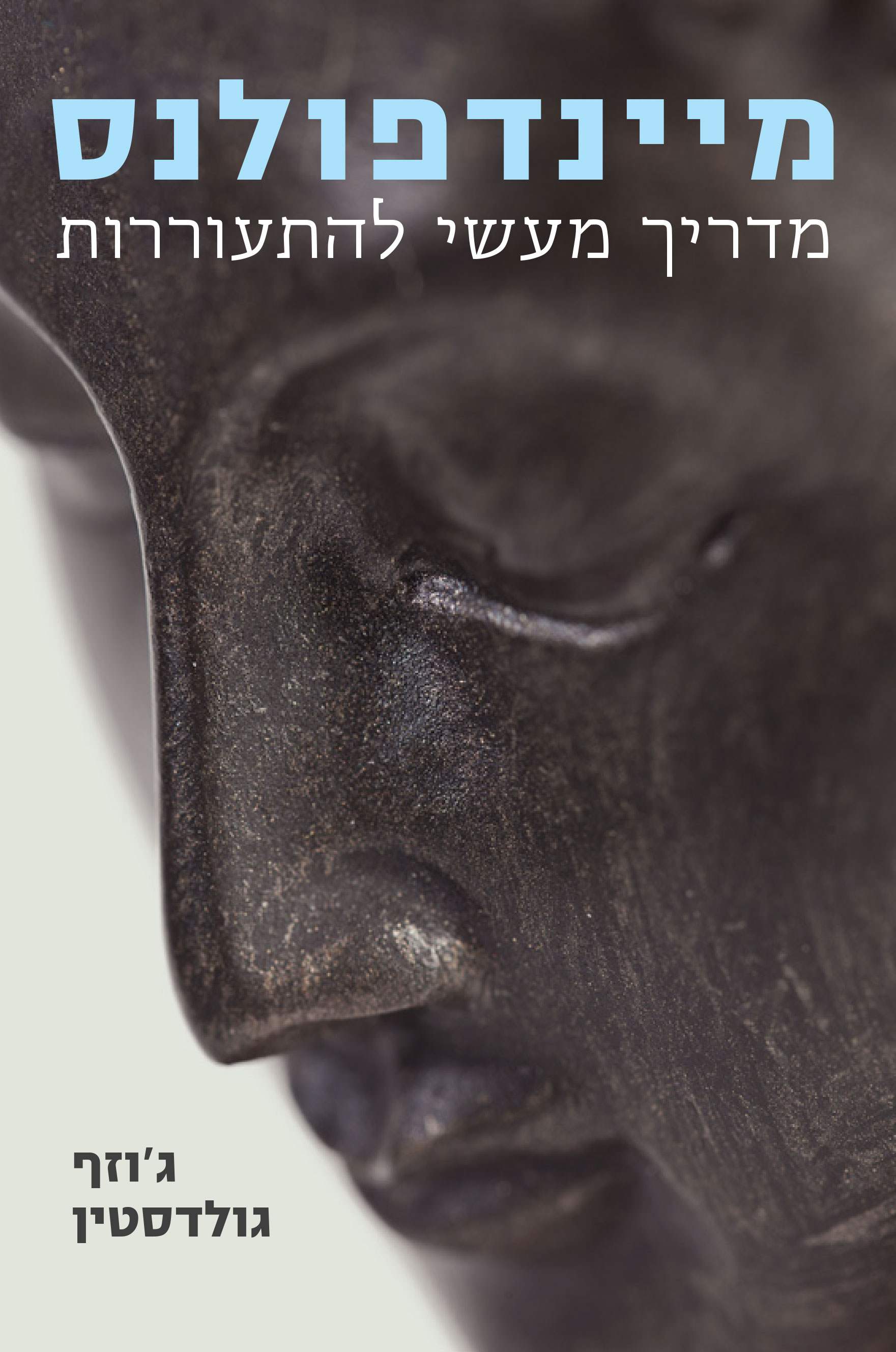 מיינדפולנס - מדריך מעשי להתעוררות