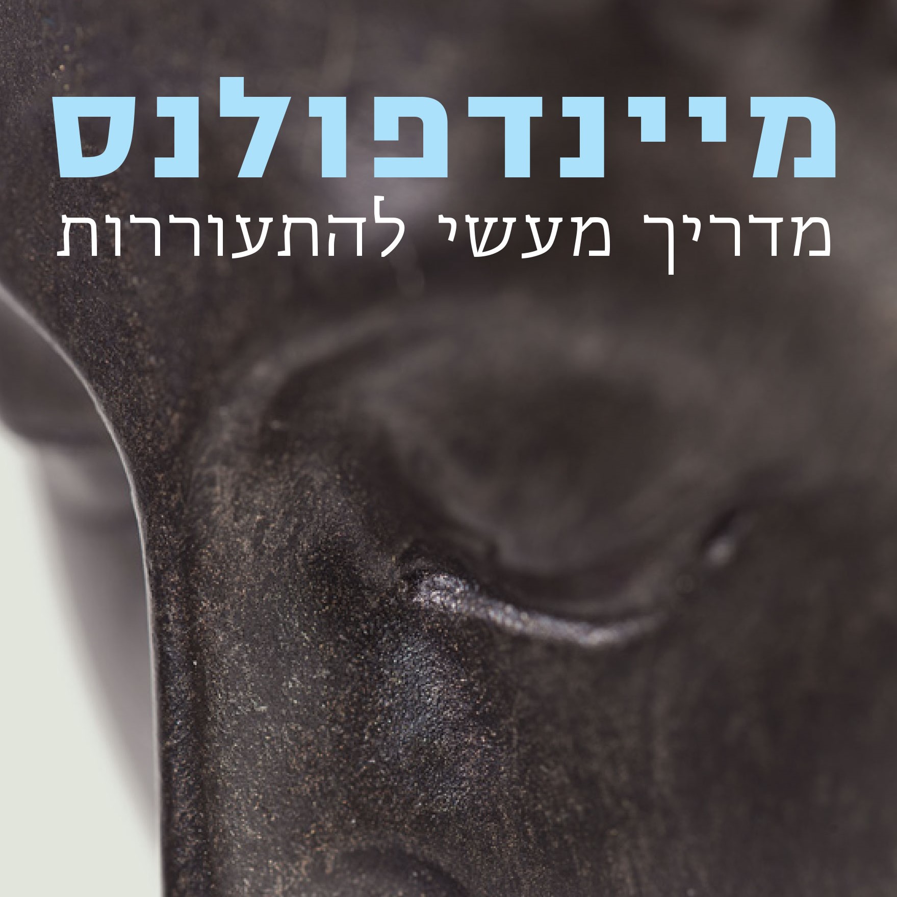 מיינדפולנס - מדריך מעשי להתעוררות