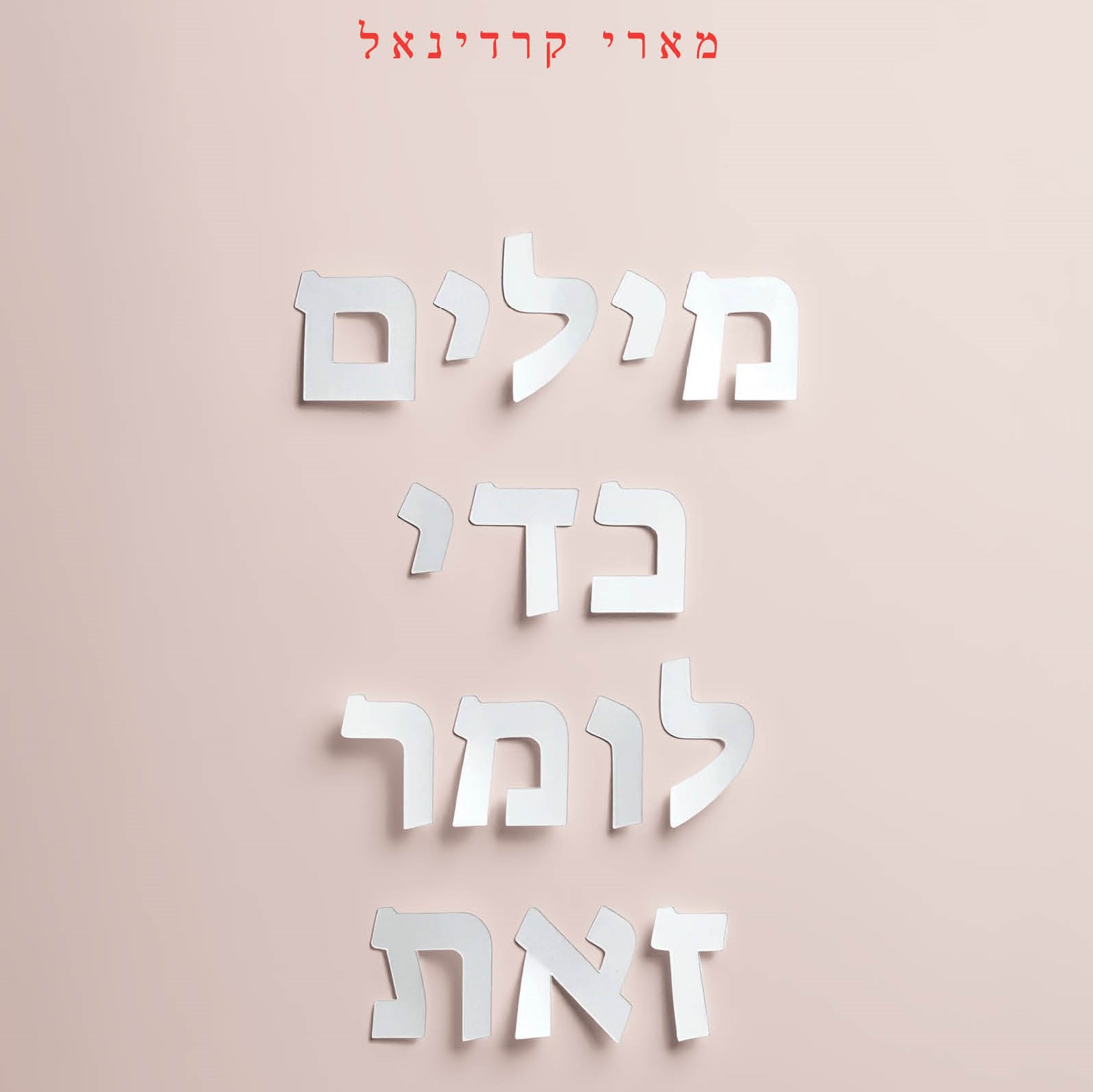 מילים כדי לומר זאת