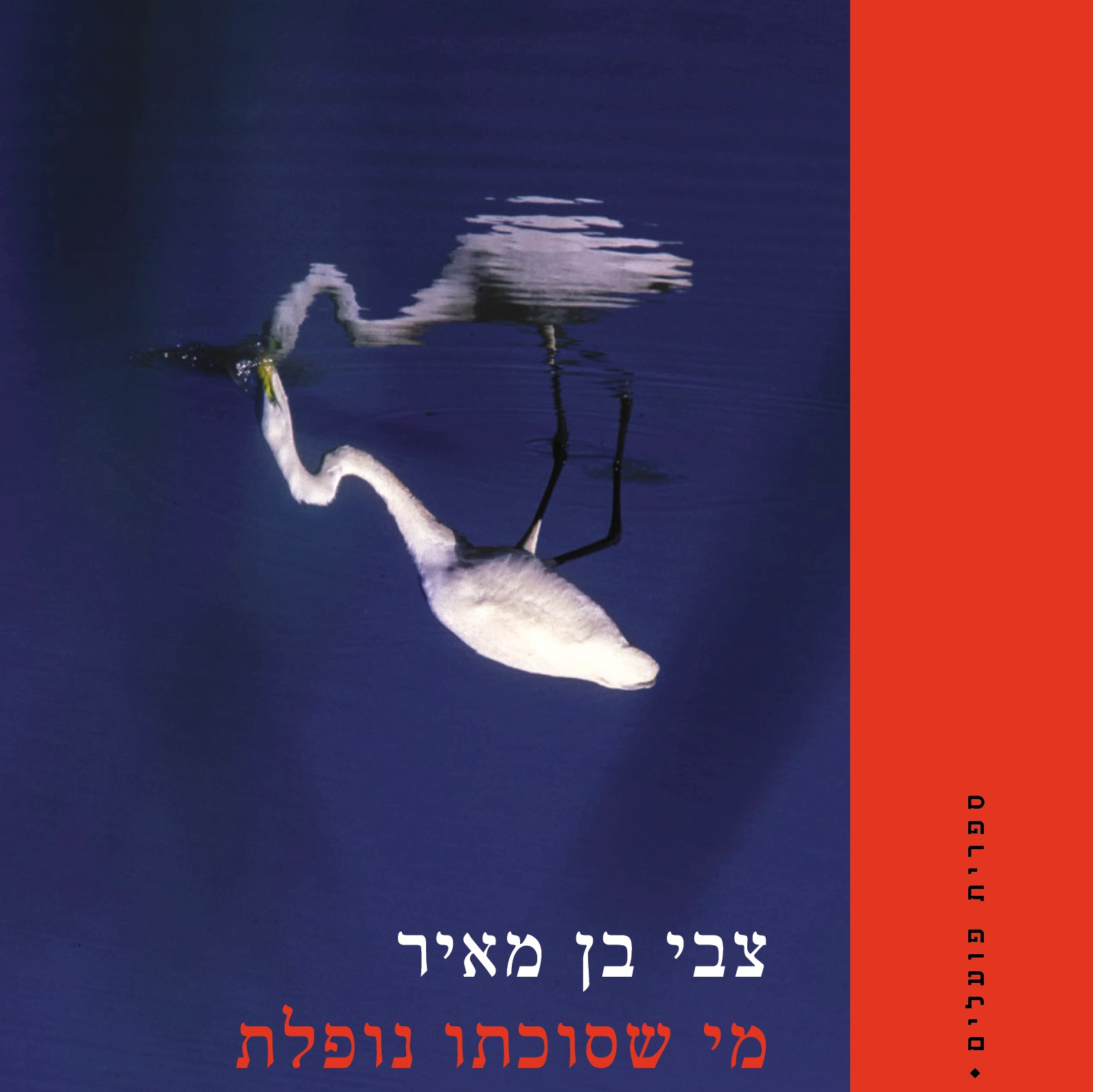 מי שסוכתו נופלת