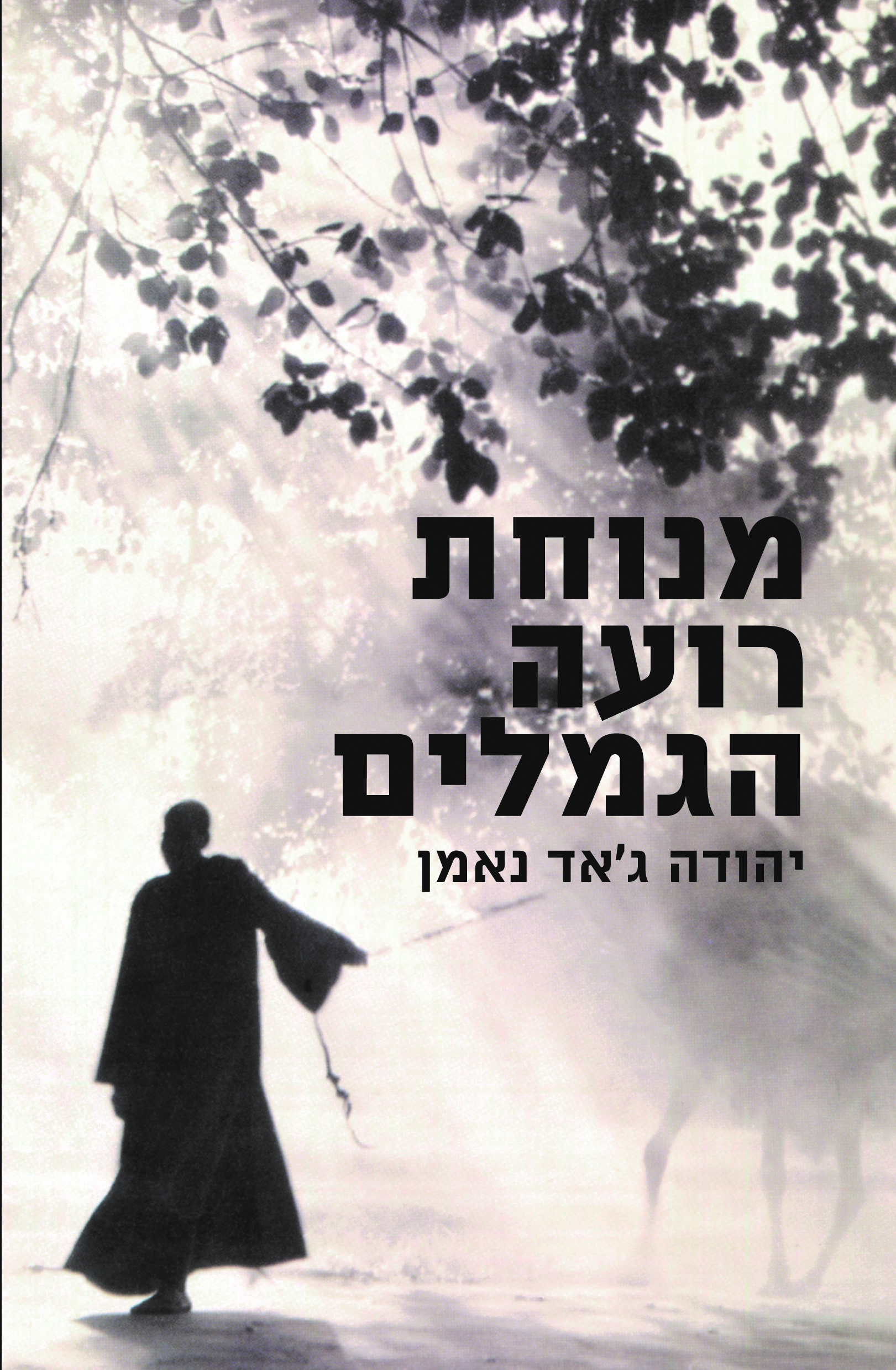 מנוחת רועה הגמלים