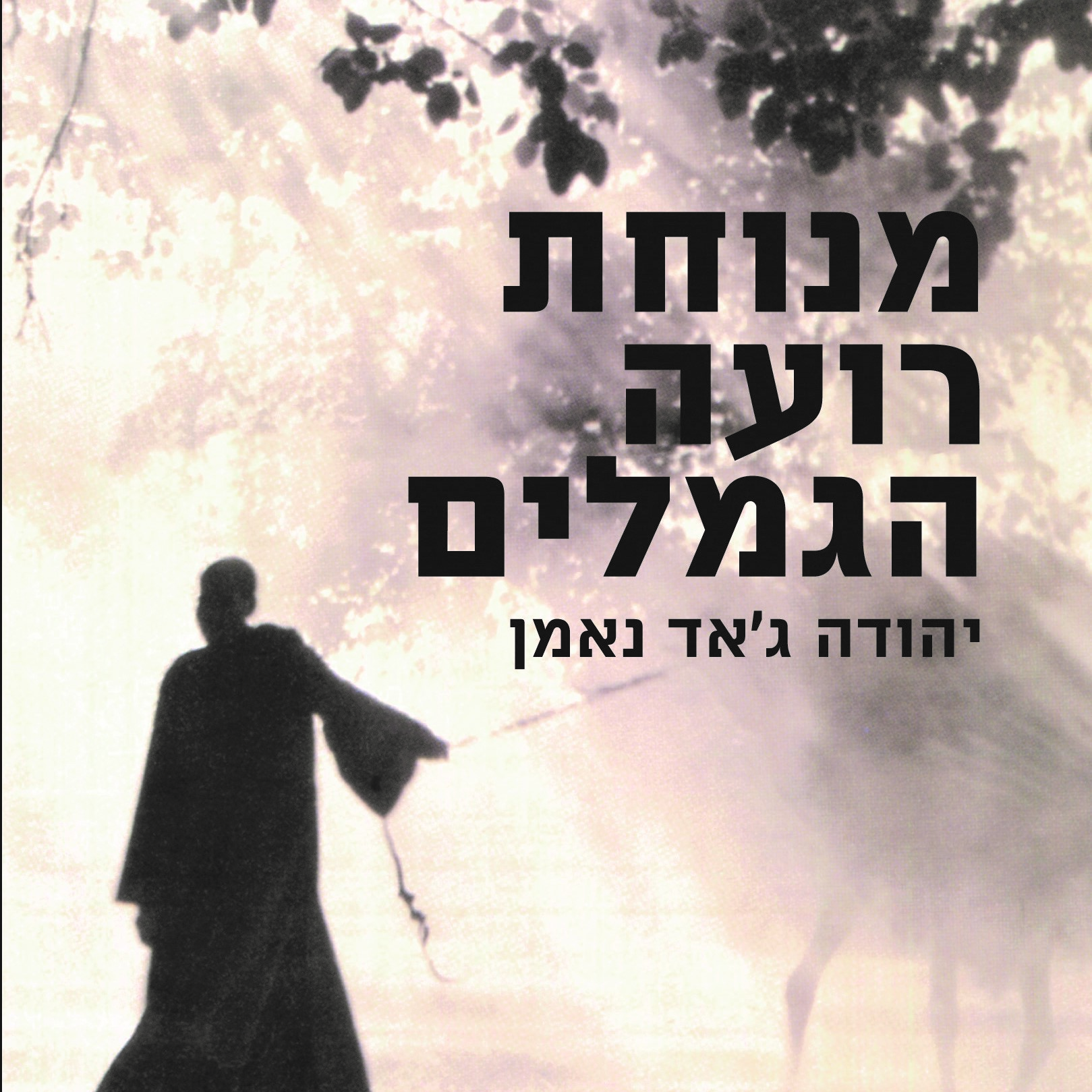מנוחת רועה הגמלים