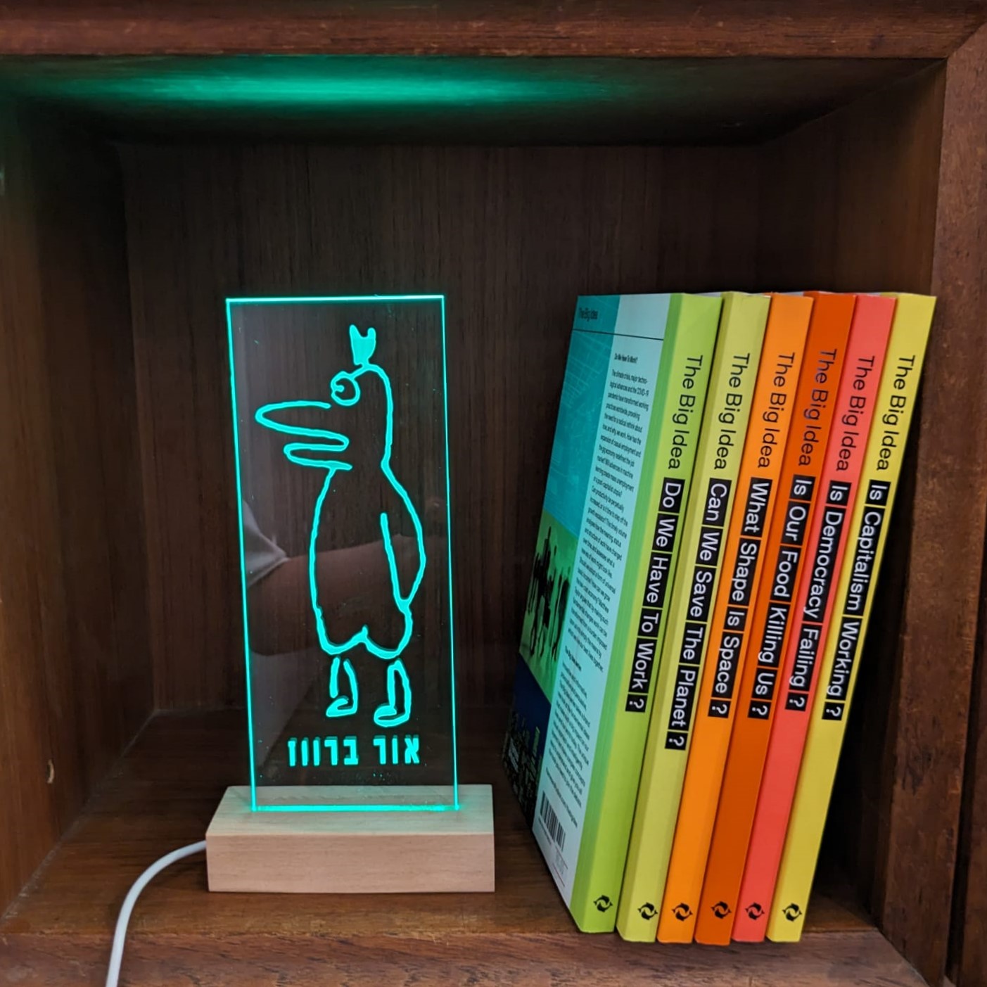 מנורת אור ברווז - דודו גבע