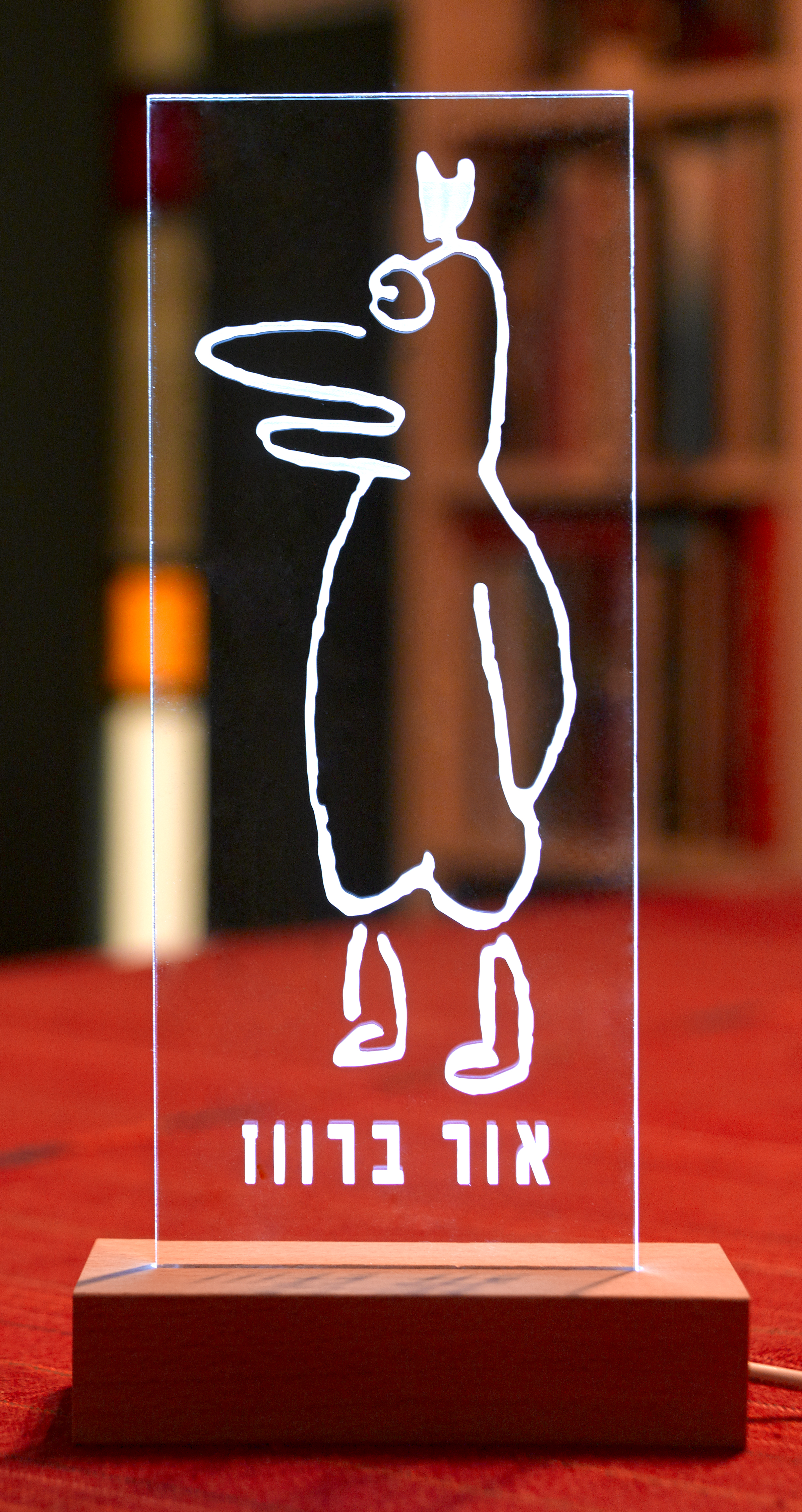 מנורת אור ברווז - דודו גבע