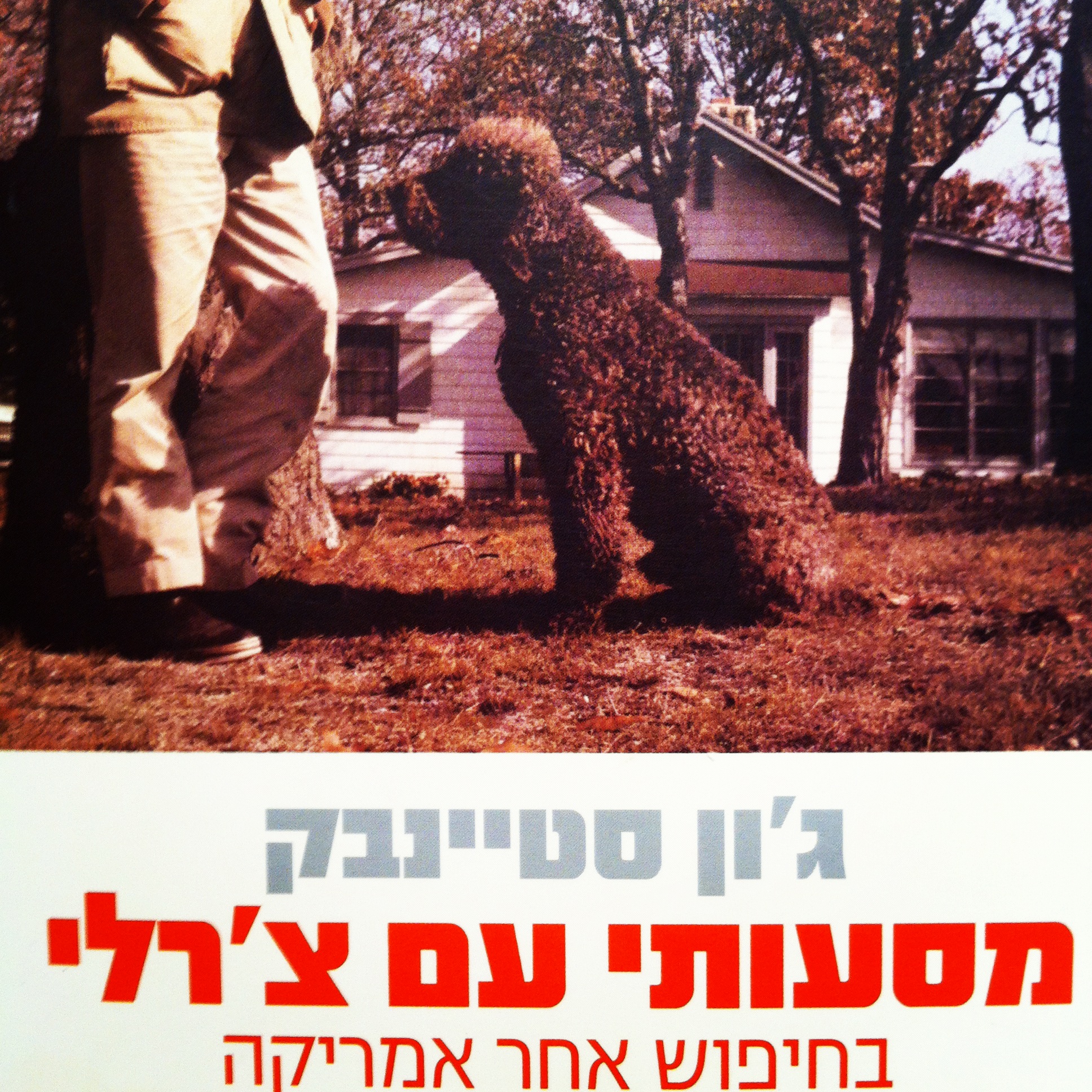 מסעותי עם צ'רלי בחיפוש אחר אמריקה