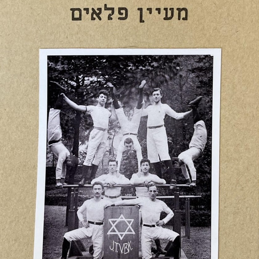 מעיין פלאים
