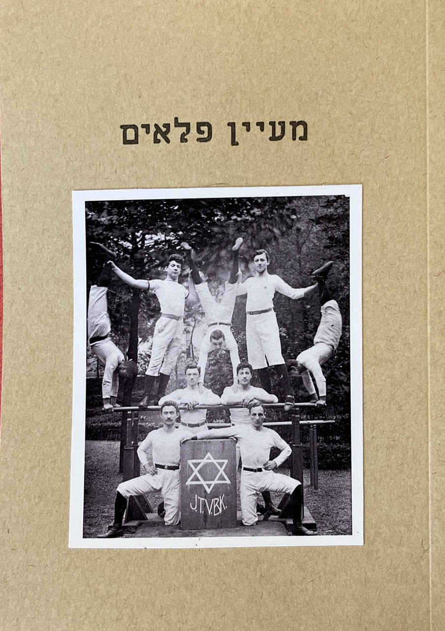 מעיין פלאים