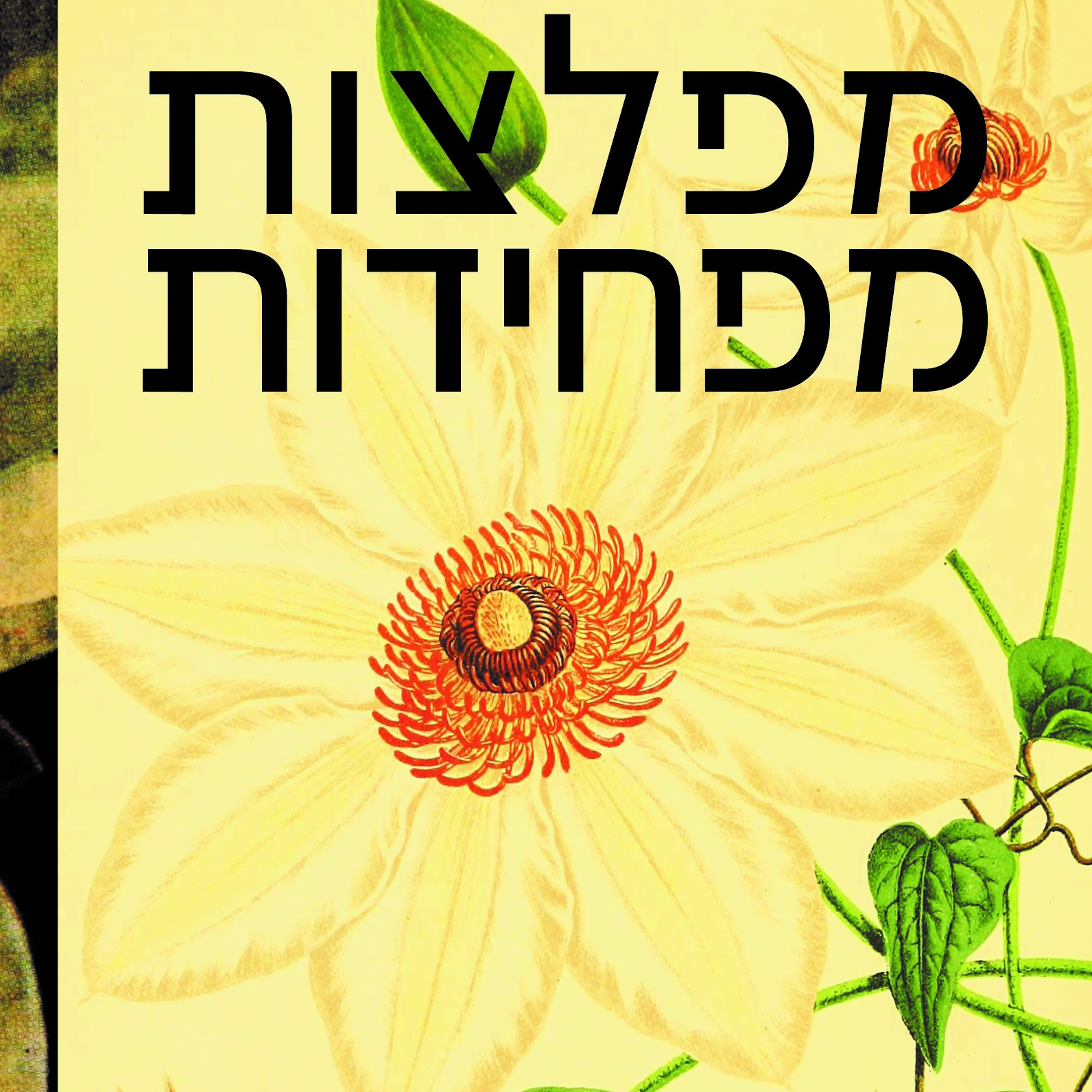 מפלצות מפחידות