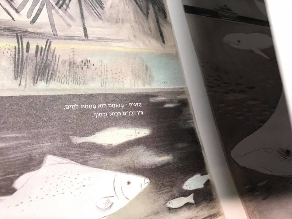 מקום משלך