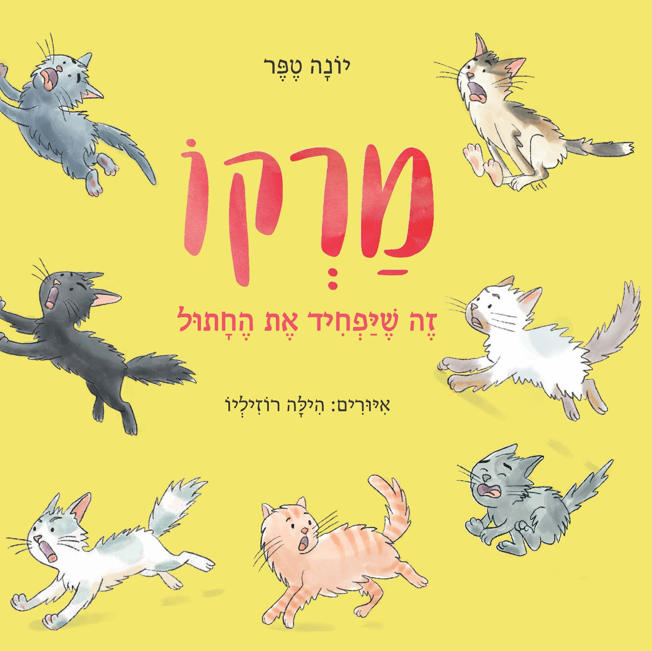 מרקו – זה שיפחיד את החתול