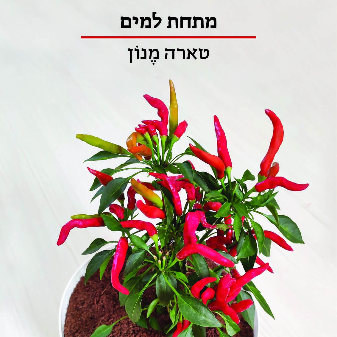 מתחת למים