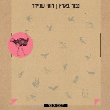 נבוך בארץ