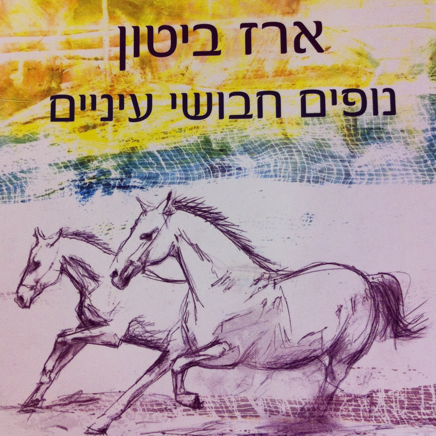נופים חבושי עיניים