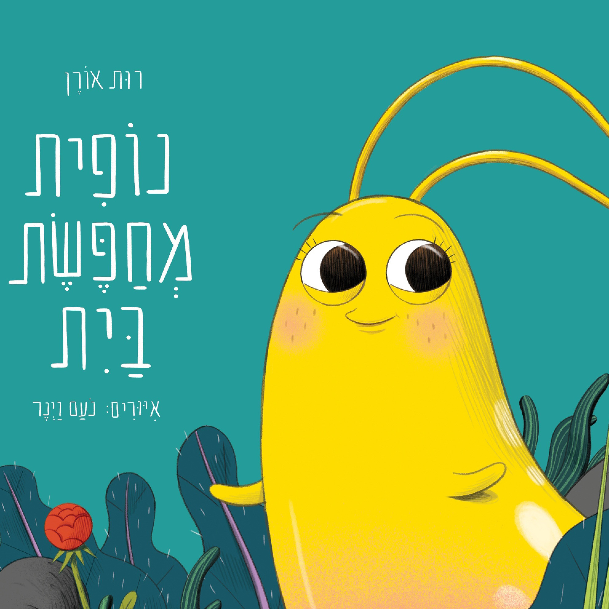 נופית מחפשת בית