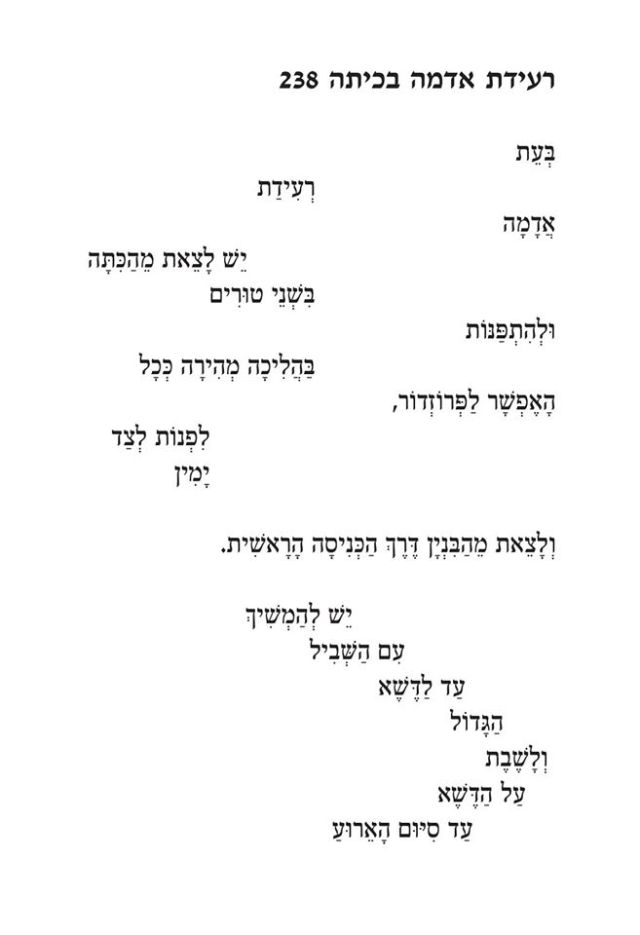 ננופואטיקה 19