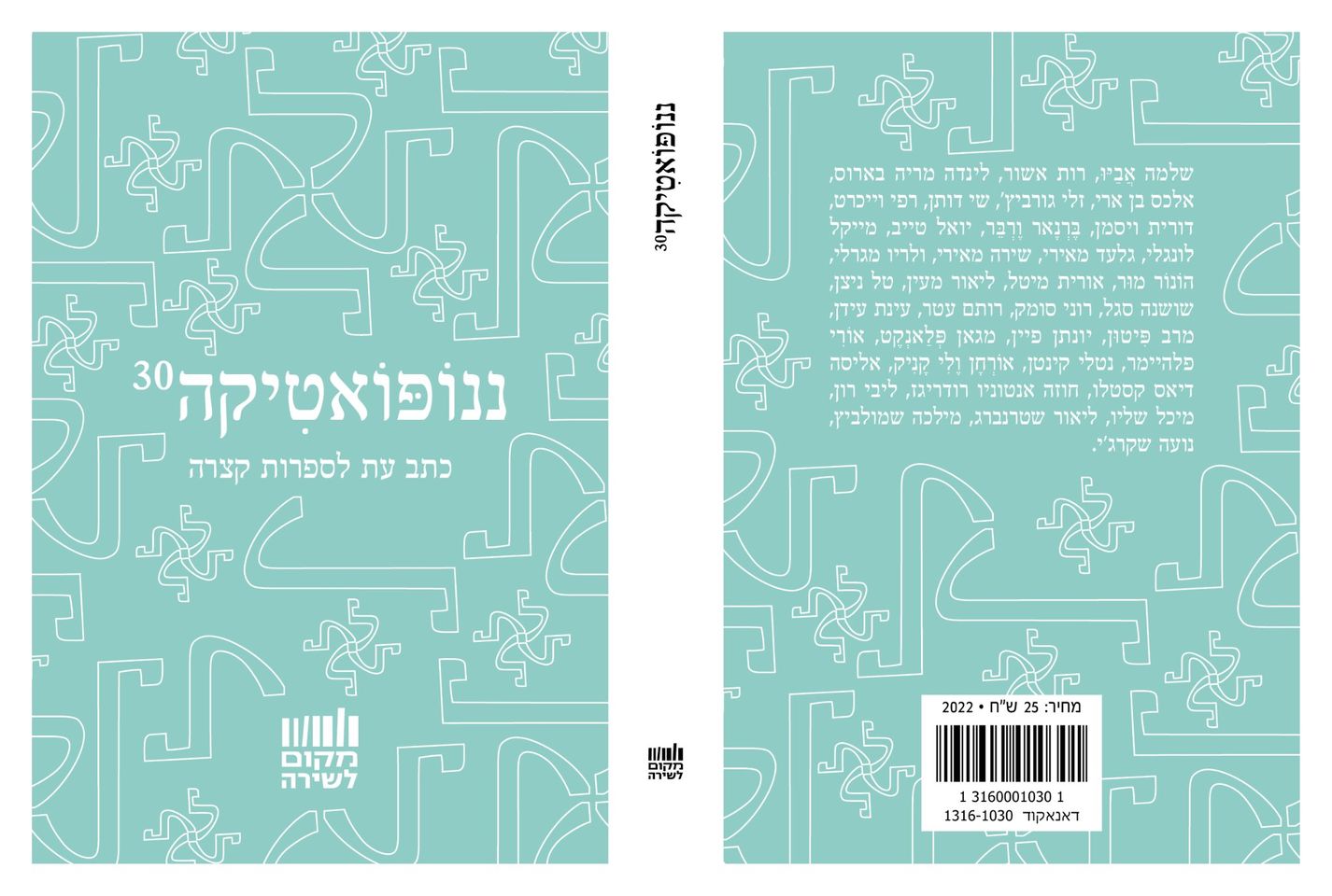 ננופואטיקה 30