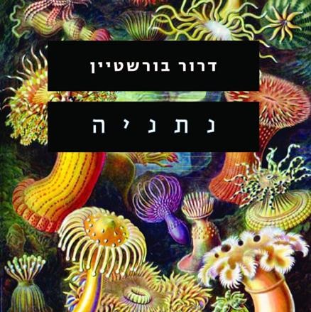 נתניה