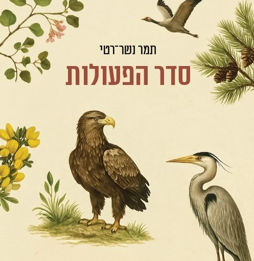 סדר הפעולות