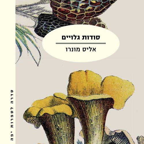 סודות גלויים (מהדורה מחודשת)