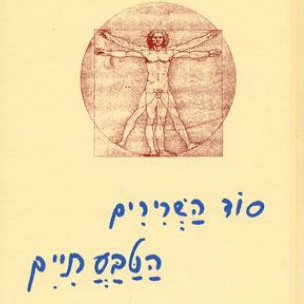 סוד השרירים הטבעתיים