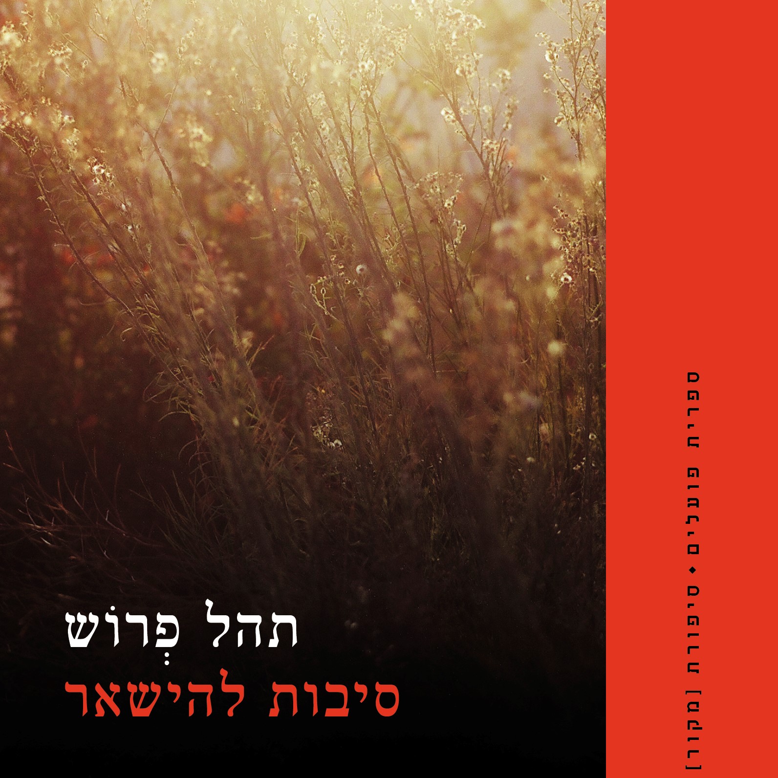 סיבות להישאר