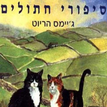 סיפורי חתולים
