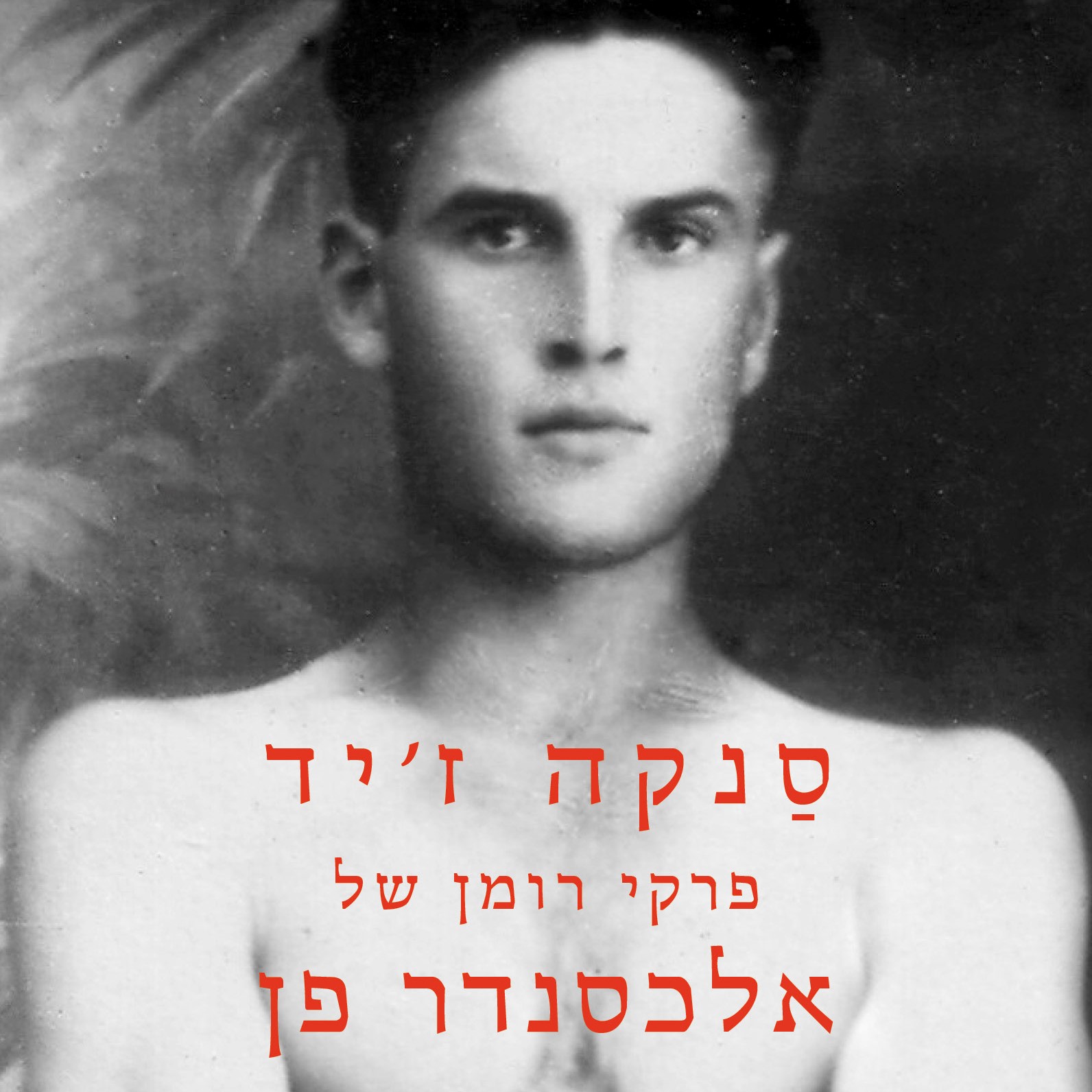 סנקה ז'יד: פרקי רומן של אלכסנדר פן