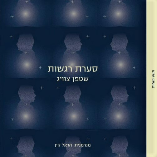 סערת רגשות