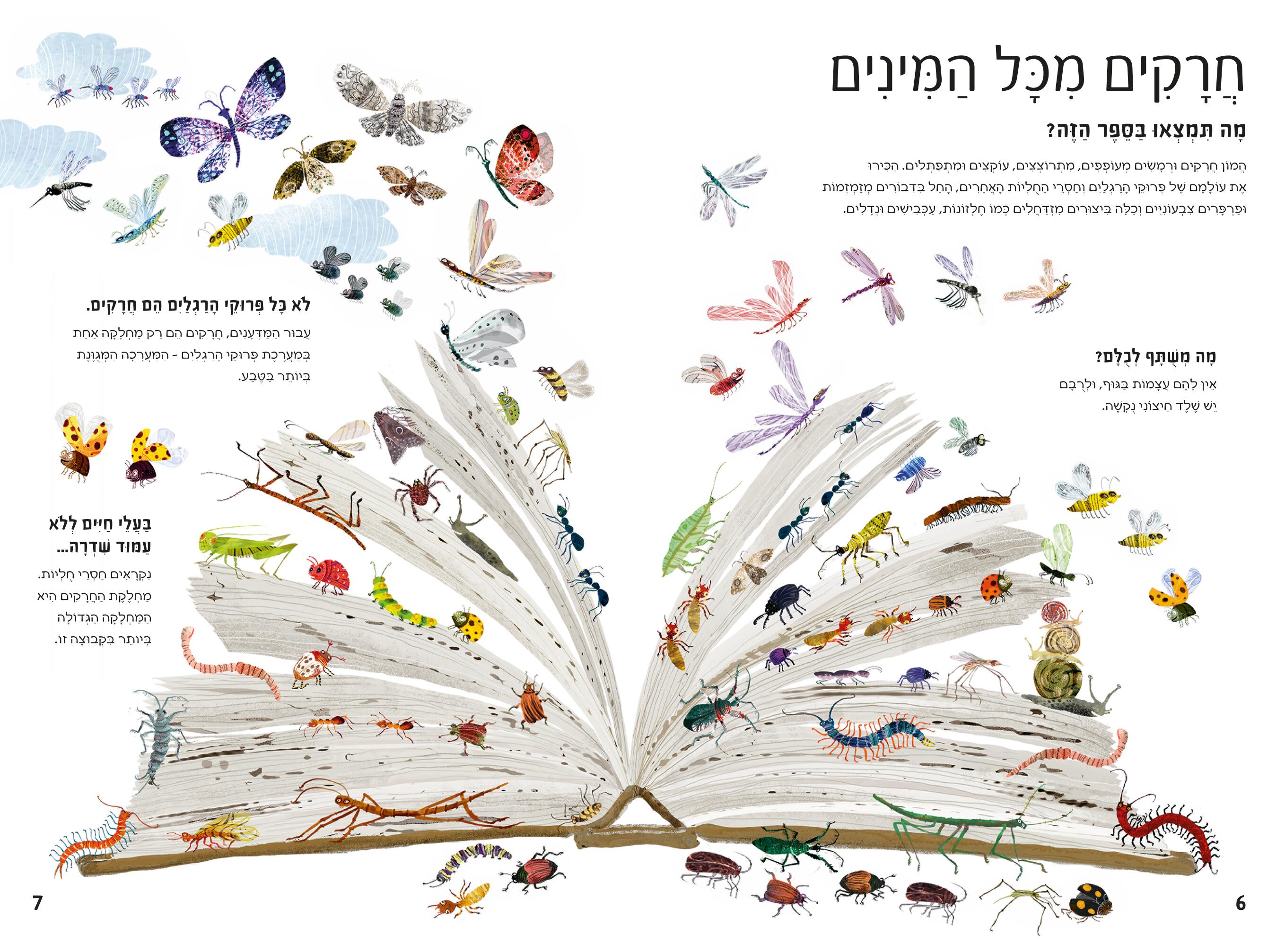 ספר החרקים הגדול