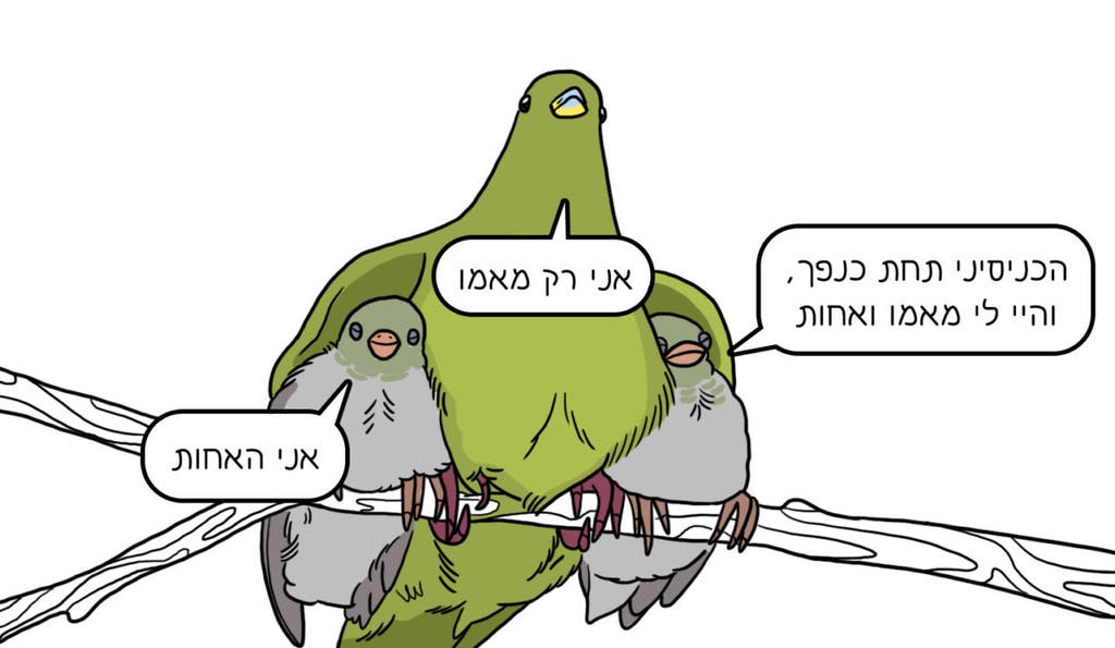 ספר הציפורים 2