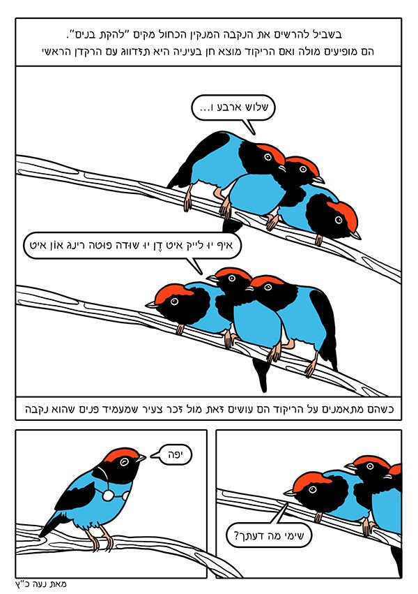 ספר הציפורים
