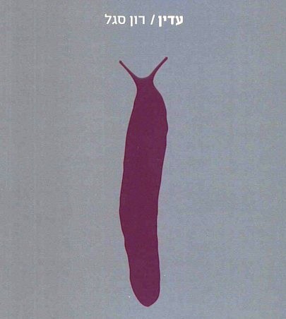 עדין