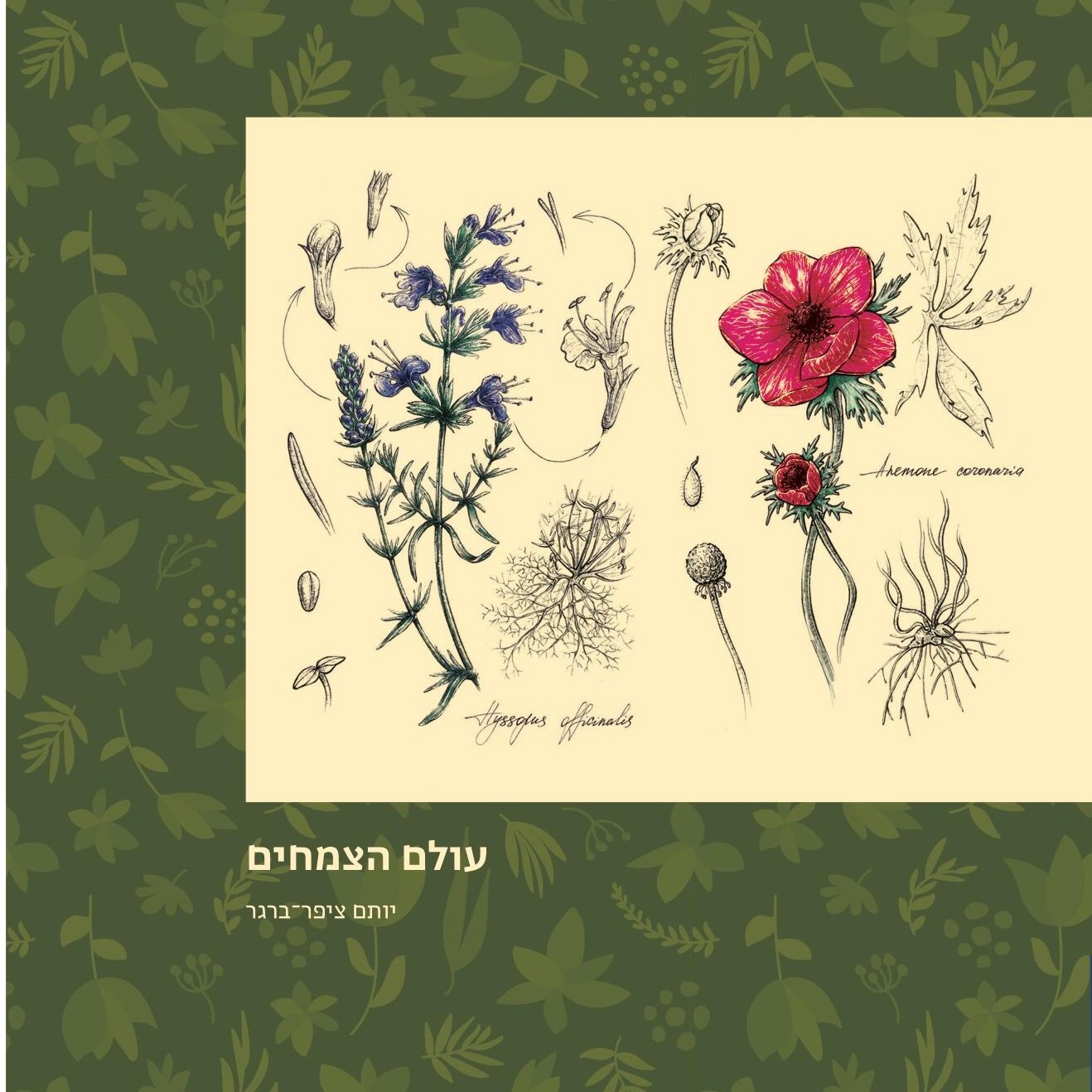 עולם הצמחים
