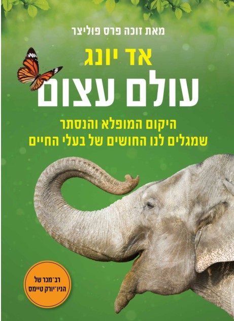 עולם עצום