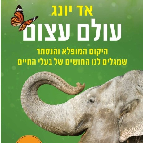 עולם עצום