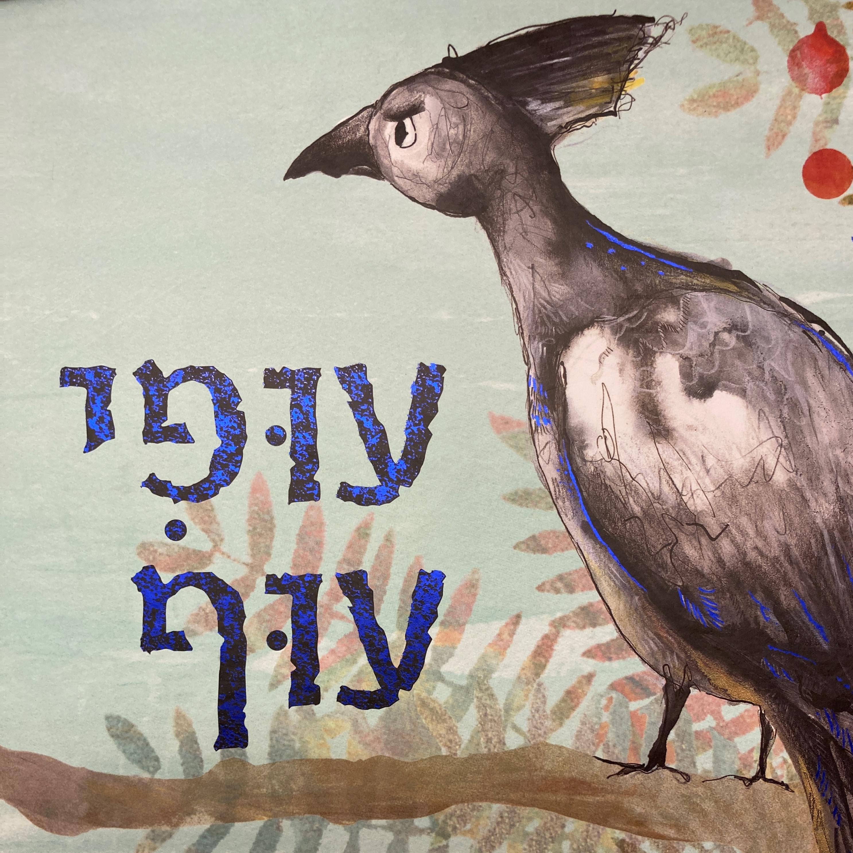 עופי עוף