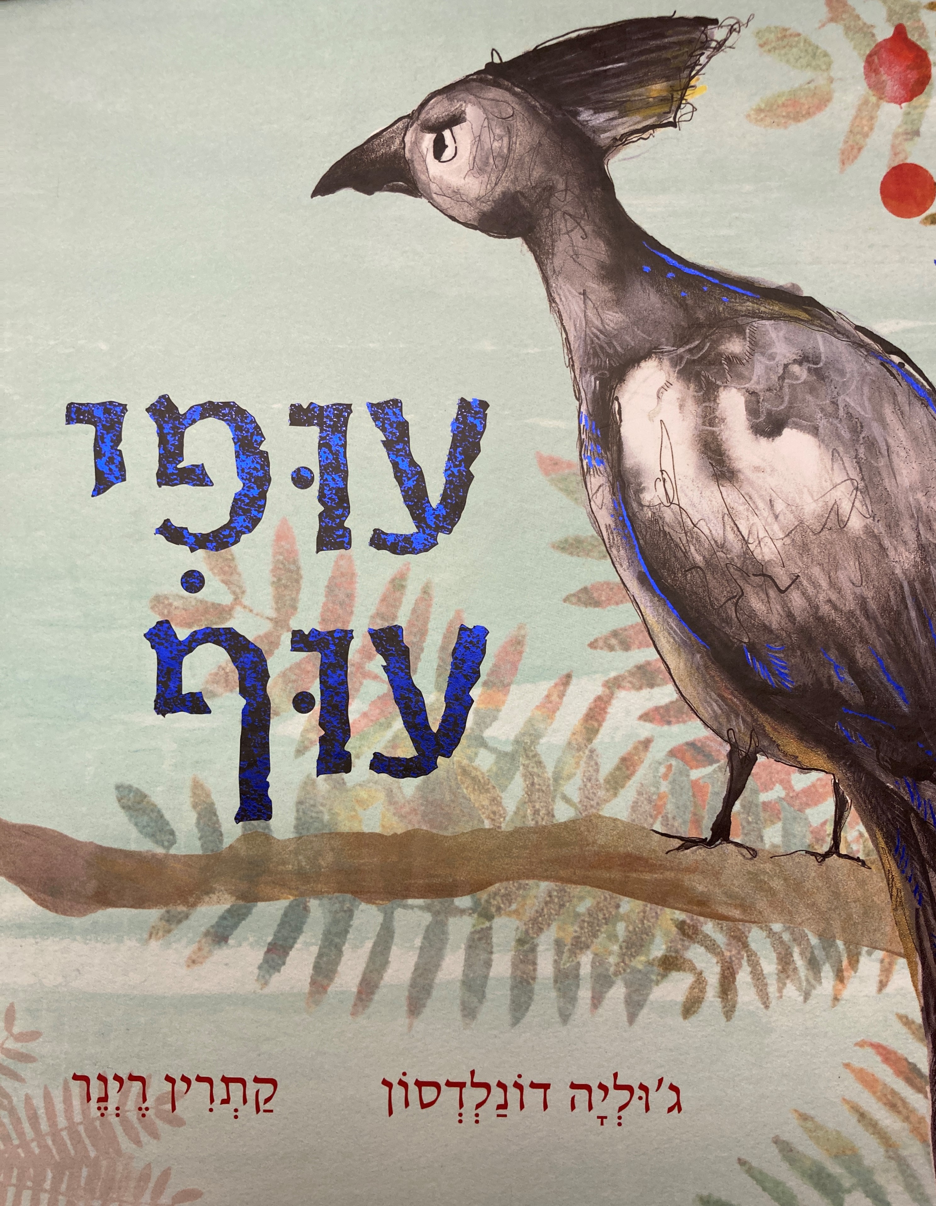 עופי עוף
