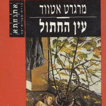 עין החתול
