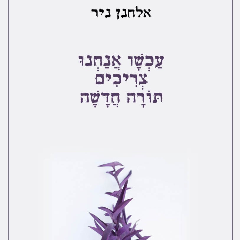 עכשיו אנחנו צריכים תורה חדשה
