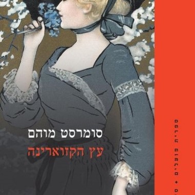 עץ הקזוארינה