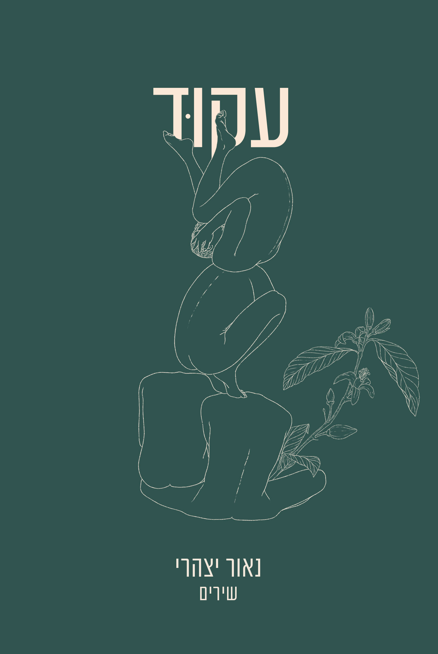 עקוד