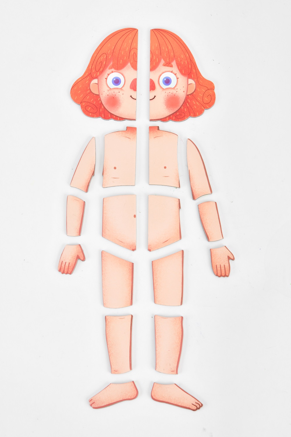 ערכת מגנטים ללימוד גוף האדם